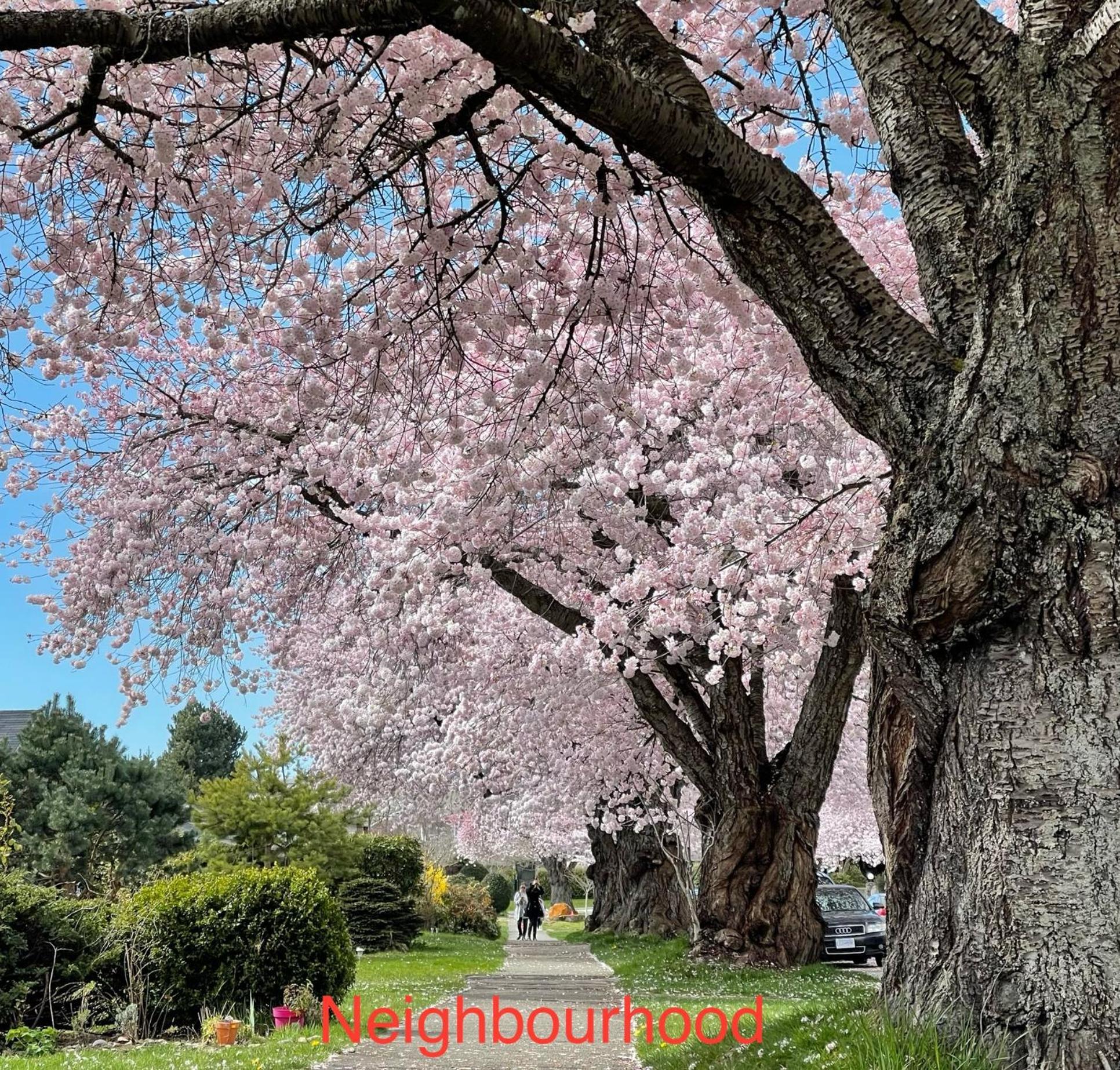 South Vancouver Guesthouse מראה חיצוני תמונה